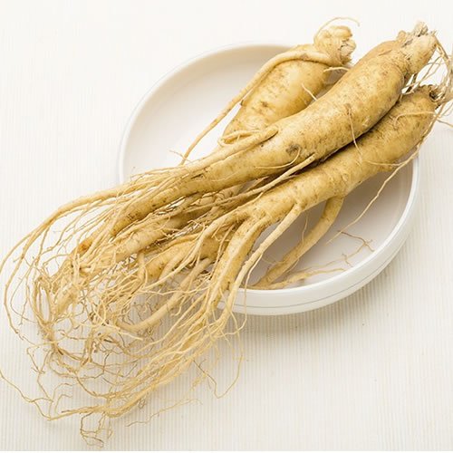 Benefícios do Ginseng: Para que Serve? Por que os homens usam?