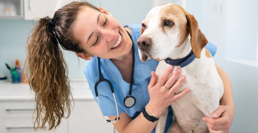 Os Benefícios da Terapia Assistida por Animais na Medicina Veterinária 1 Os Benefícios da Terapia Assistida por Animais