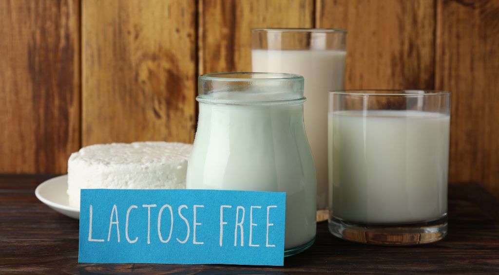 Produtos sem lactose: alternativas deliciosas e leves 2 Produtos sem lactose 2